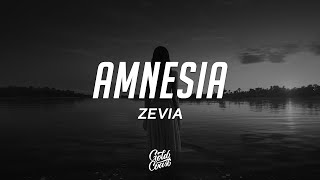 Zevia  amnesia Lyrics [upl. by Ecila]