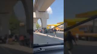 Caravana de migrantes en la autopista MéxicoPuebla con dirección a la CDMX [upl. by Billie]