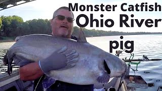 Monster Catfish Big Bluecatfish Suspend drifting the Ohio River [upl. by Colas]