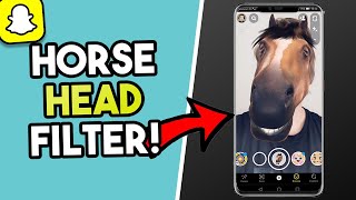 How To Get The Horse Head Filter On Snapchat [upl. by Eiramac387]