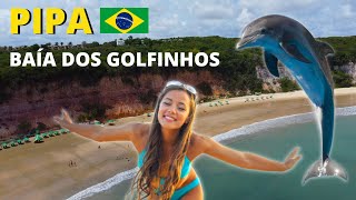 Baía dos Golfinhos PRAIA DA PIPA Beach 🇧🇷 Brazil  Playa del Pipa [upl. by Modie]