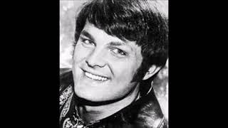 Tommy Roe  Hooray For Hazel 1966US 6 [upl. by Phelan]