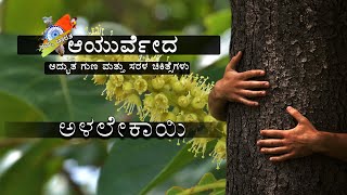 Benefits Of Chebulic Myrobalan  Alalekayi Ayurveda Treatments  Kannada Video  Namma Bharatha [upl. by Iruahs]