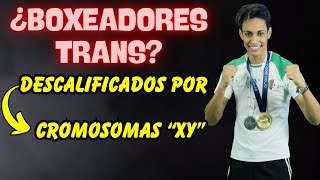 🟣 ¡POLÉMICA TRANS COMPETIRAN en BOXEO FEMENINO 2 BOXEADORES DESCALIFICADOS por CROMOSOMAS XY 🟣 [upl. by Godard]