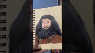 There is no hogwarts without you hagrid hagrid harrypottercharacter colourpencilsketch ytshorts [upl. by Catto]