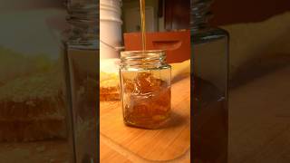 Hatvesting comb honey… I also harvested honey from the flow hive…just gotta finish editing honey [upl. by Rehotsirhc]