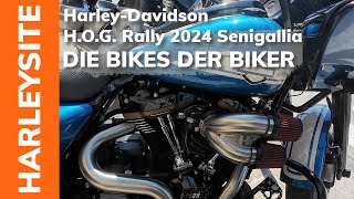 HarleyDavidson HOG Rally 2024 Senigallia Die Harleys der Biker [upl. by Sapers448]