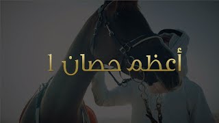 S1 EP 07  The Finest Horse in the World  الحلقة 07  أعظم حصان ١ [upl. by Llerraj]