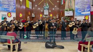 Romántica Rondalla Bohemia  Wendoline [upl. by Htebazileharas302]