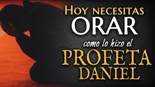 Hoy NECESITAS hacer la ORACION del PROFETA Daniel🙏 [upl. by Lamdin832]