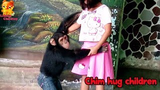 So cute Chimpanzee want to hug with human [upl. by Nimzzaj]