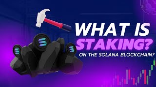 Understanding Staking on Solana Easy Info [upl. by Ketchum]