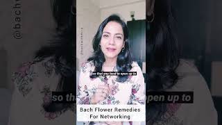 Bach Flower Remedies for Networking [upl. by Aenej]