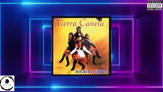 Tierra Canela  Mi Joven Profesor De Amor Remix Dj Fernando [upl. by Shepperd]