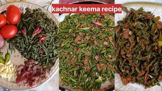 Kachnar Banane Ka Tarika  kachnar keema recipe  Bauhinia Variegata Recipe  Jim Foods [upl. by Amahcen]