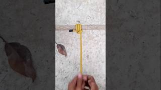 Outdoors Practical knotknottying diy knottutorial shortsfeed rope easyknot shorts ytshorts [upl. by Eiramaliehs]