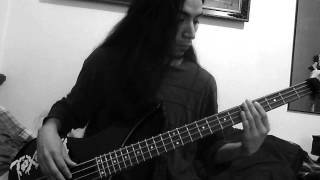 La Muralla Verde  Enanitos Verdes  bass cover [upl. by Lrat]