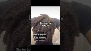 Day 24 Tips For Starter Locs locs starterlocjourney haircare [upl. by Eromle434]