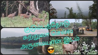 குடும்பத்தோடு சுற்றுலா செல்ல அருமையான இடம் 😎 family trip good placeramshreevlogs [upl. by Esbenshade]