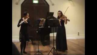 Hoffmeister Duo Concertante in G major for flute amp viola 1 Allegro [upl. by Tacy]