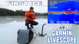 First Impression of GARMIN LIVESCOPE  Backcountry Brook Trout on Early Ice [upl. by Skinner]