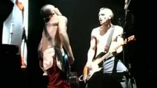 Red Hot Chili Peppers  Blackeyed Blonde  Live Off The Map HD [upl. by Mychael]