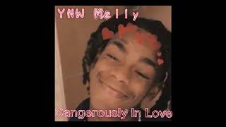 YNW Melly  Dangerously In Love 772 Love Part 2 CLEAN [upl. by Yruy]