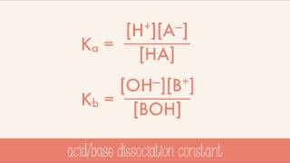 Strength of Acids and Bases [upl. by Rannug]