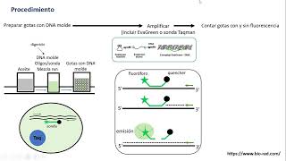 Droplet digital PCR ddPCR [upl. by Drida278]