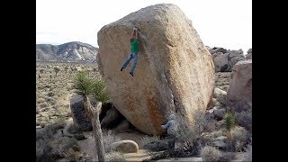 Joshua Tree  White Rastafarian [upl. by Nesnaj]