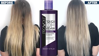 PROVOKE TOUCH OF SILVER BRIGHTENING PURPLE SHAMPOO BEFORE AND AFTER  PURPLE SHAMPOO REVIEW [upl. by Lorie419]