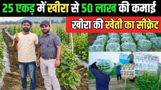 25 एकड़ में खीरा से 50 लाख की कमाई  Kheera Ki Kheti  खीरा की खेती [upl. by Laehplar]