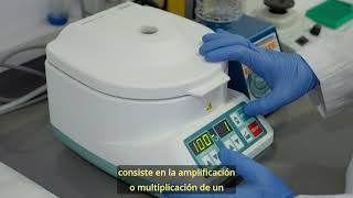 PCR para detectar e identificar microorganismos causantes de biodeterioro sobre patrimonio cultural [upl. by Aymer44]