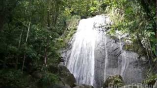 La Coca Waterfall in El Yunque National Forest Puerto Ricos Rain Forest [upl. by Oicnanev]