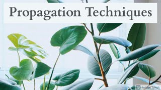 Different Propagation Techniques [upl. by Grethel]