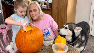 Pumpkin Carving Fun With Our Huskies And Their Adorable Sidekick halloween husky alaskamalamute [upl. by Etireugram]