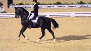 Edward Gal amp Moorlands Totilas at 2010 World Equestrian Games dressage freestyle finals [upl. by Lewse556]