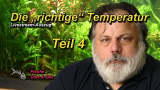 DIE RICHTIGE TEMPERATUR IM AQUARIUM  Teil 4 der DiskusGrundlagen [upl. by Anirbed]