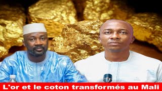 Issa Diawara  MaliRussie  une raffinerie dor et une usine de transformation de coton [upl. by Nnyletak]