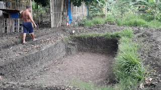 tilapia fish pond preparation [upl. by Nosnevets]