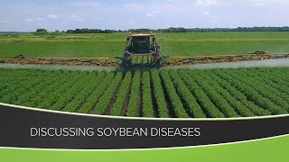 Soybean Diseases From Ag PhD 1161  Air Date 7520 [upl. by Cassy158]