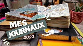 Mes journaux 2023  feuilletage de mon Moleskine Daily [upl. by Aynod883]