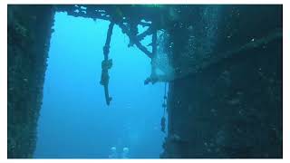 USS Oriskany May 2023 Dive [upl. by Sallyann]