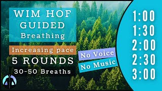 WIM HOF Guided Breathing  30 to 50 Breaths 5 Rounds Increasing Pace  To 300min No Voice No Music [upl. by Thurber]