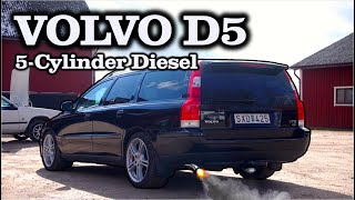 Best of Volvo D5 Sounds – Loud 5Cylinder Turbo Diesels [upl. by Blatman]