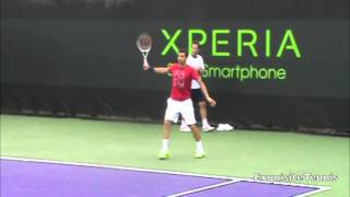 Grigor Dimitrov Slow Motion Backhands [upl. by Sparks]