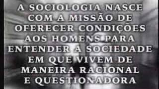 O que é sociologia [upl. by Thistle128]