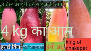 4kg का आम4kg mango3 best big size mango [upl. by Forras]