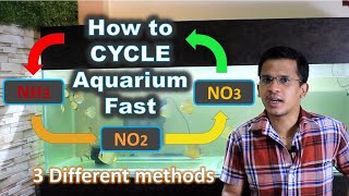 How to Cycle Aquarium Fast  Why fish die in new aquarium  Beginners Aquarium Guide 4 [upl. by Akinal]