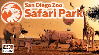 San Diego Zoo Safari Park  Top 10 Tips Park Tour amp Animal Guide [upl. by Jehius634]